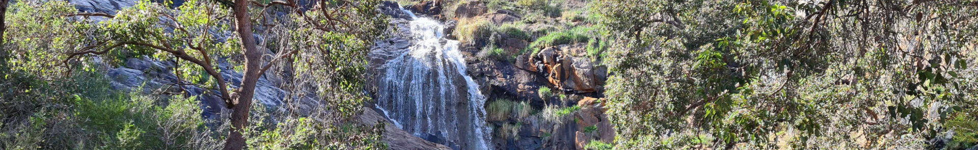 Accessible Adventures - Lesmurdie Falls
