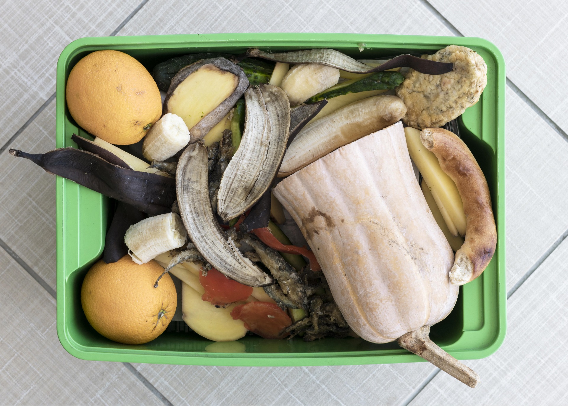 City Continues Efforts to Reduce Waste and Promote Sustainable Living