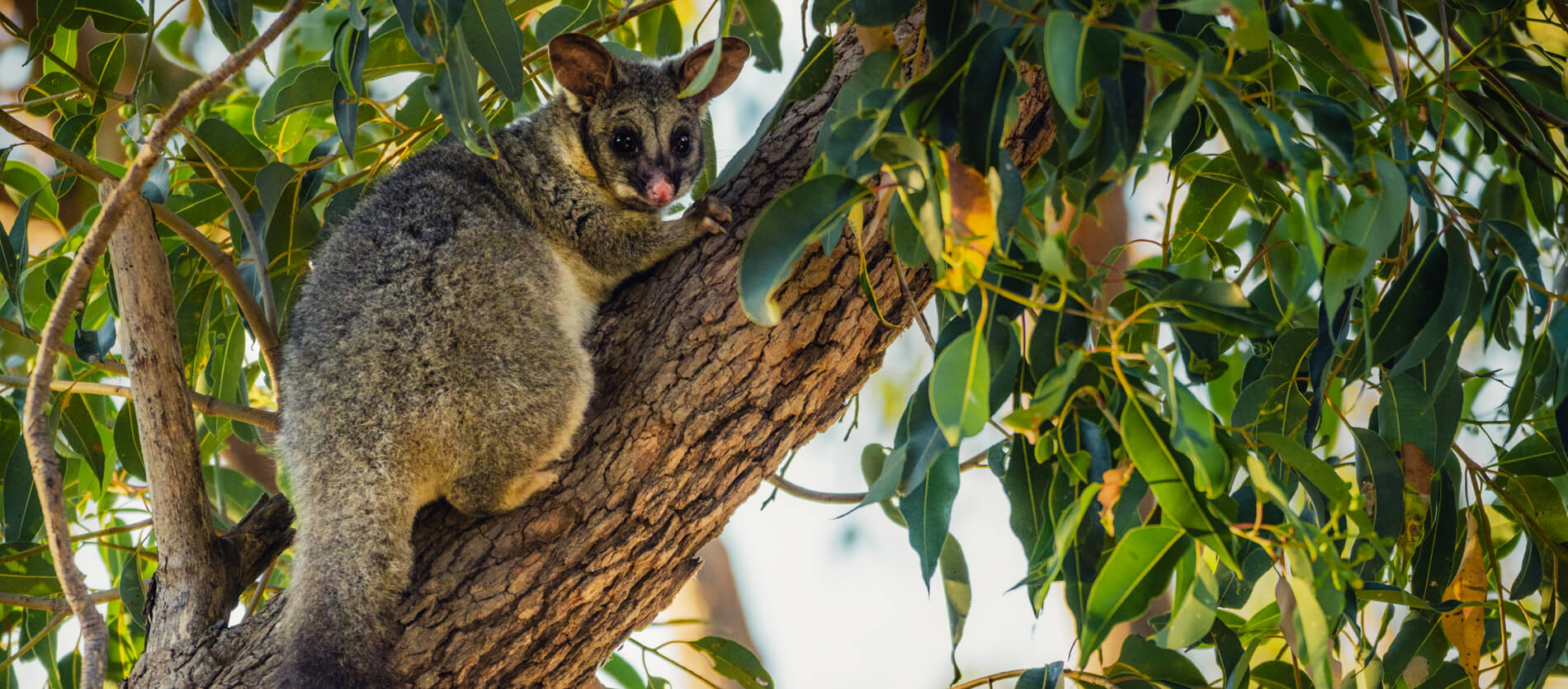 Photo by Nature by Nathan