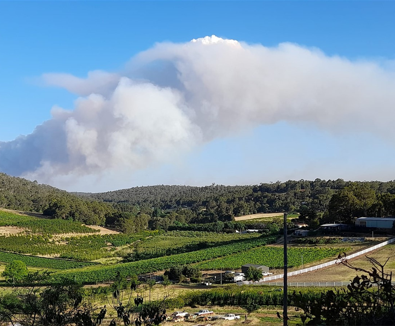 bushfire