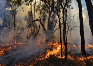 Prohibited burning period now in effect