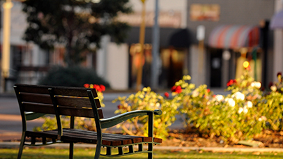 Park Bench