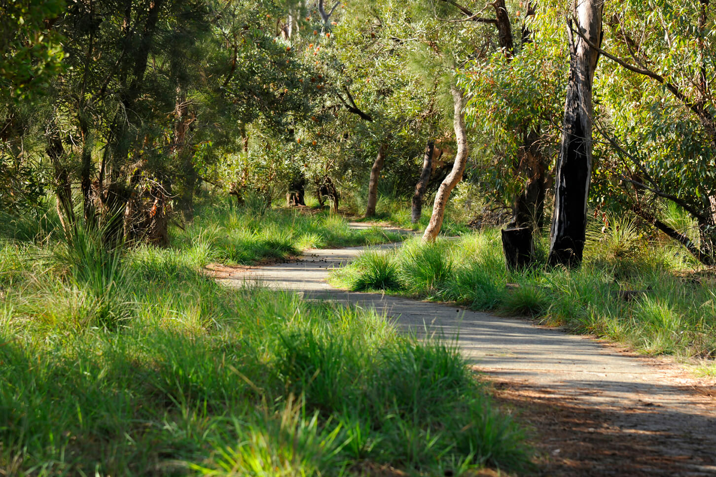 View of Public Fleming Reserve includes a foot path