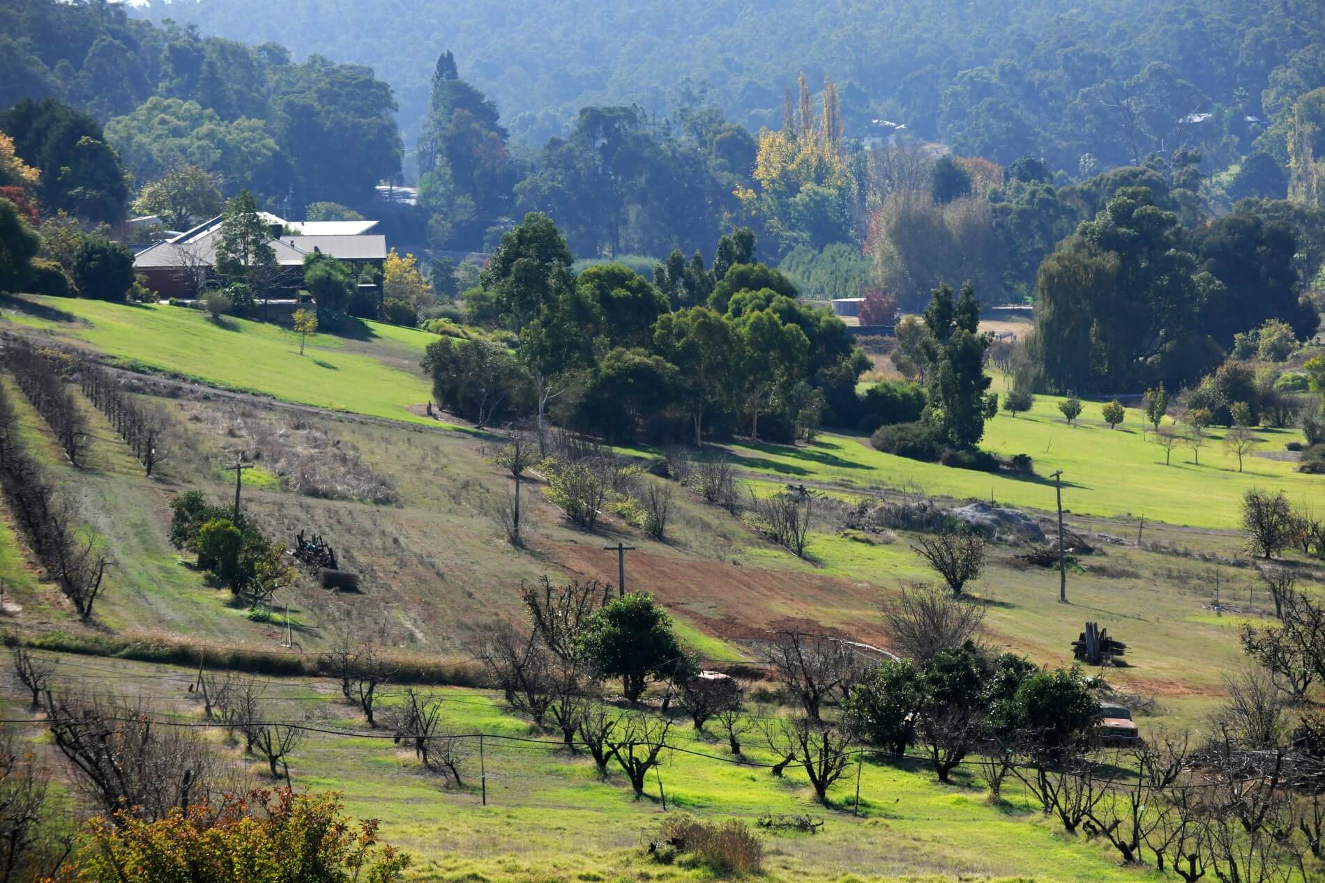 View of valley in Carmel/Bickley area