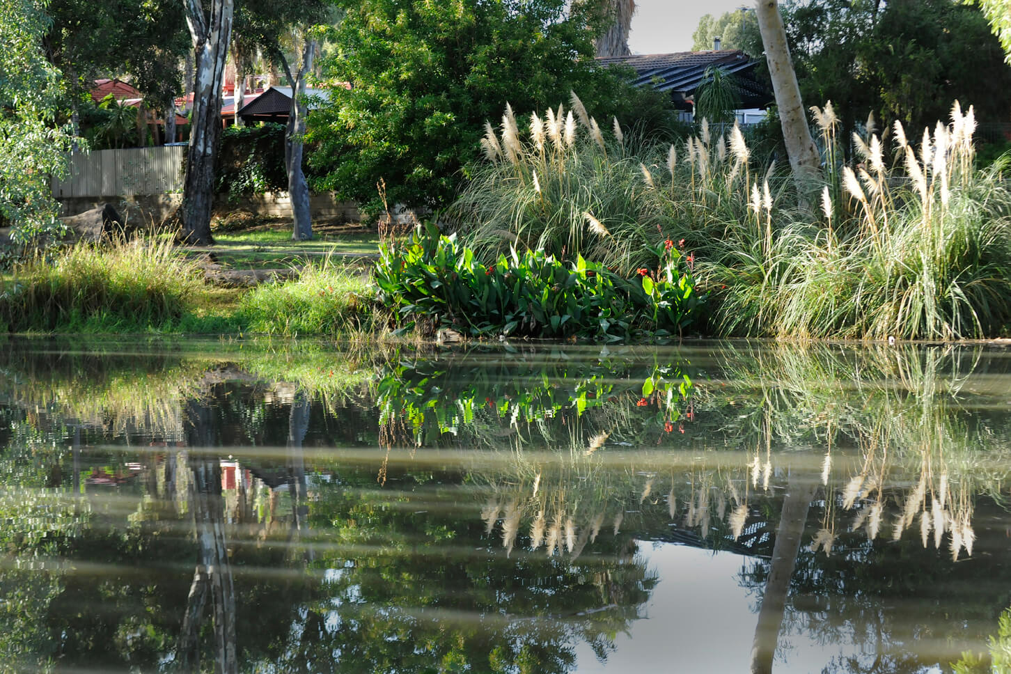 view of water - has water reeds and and housing in background