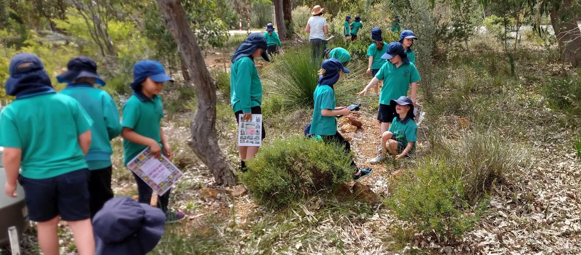 Agroupof12localprimaryschoolstudentswiththeirteacherlookingfornativeplantsintheirschoolgarden