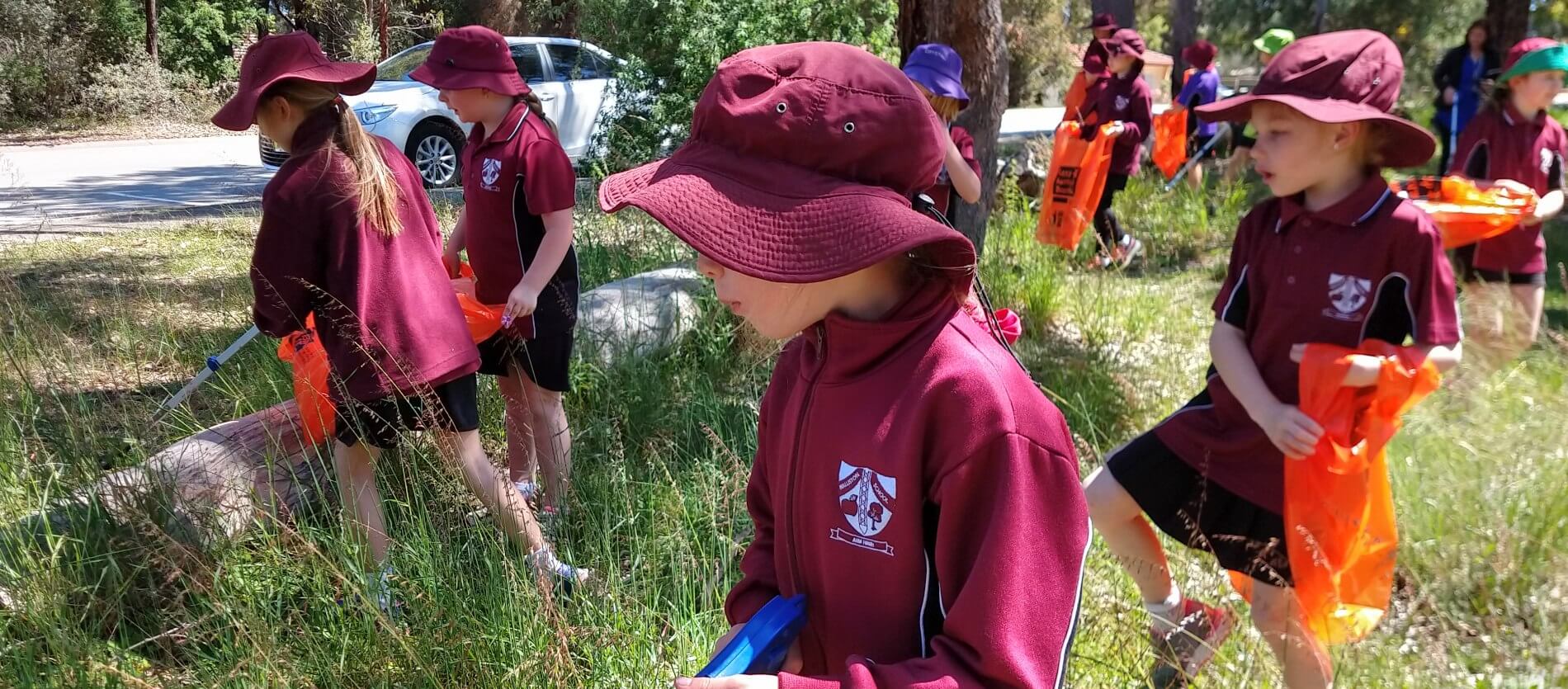 A small group of local students in their maroon uniforms, walking through the bushland on their school grounds with rubbish pickers and orange bags, collecting rubbish