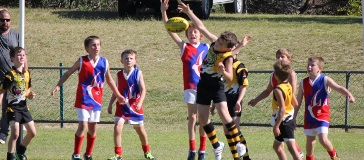 Junior football clubs Rhinos and tigers competing for the ball
