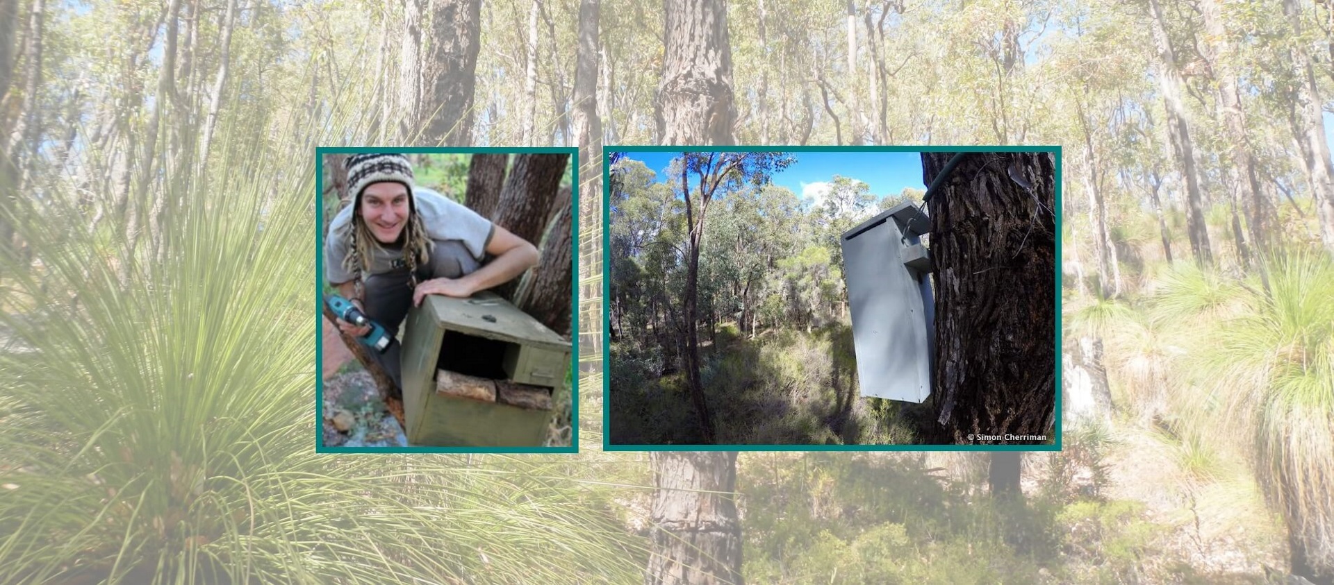 Nesting-boxes with Simon Cherriman, High Wycombe