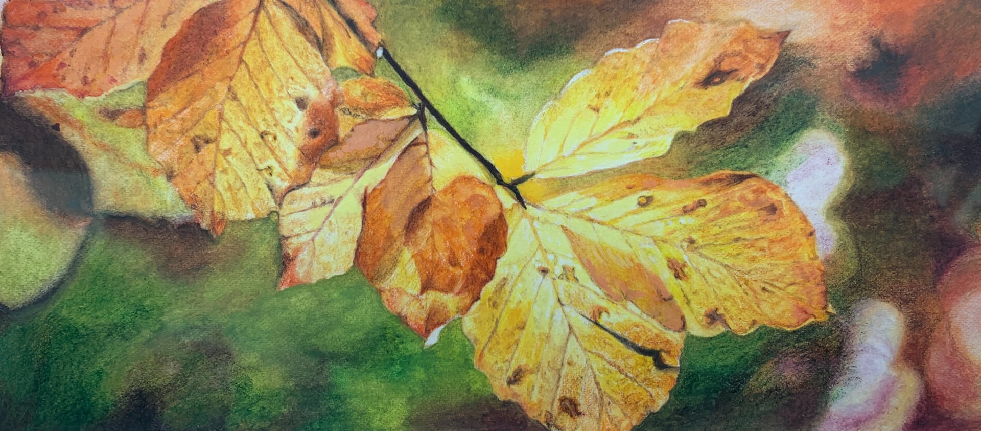 Exhibition: Natures Collective