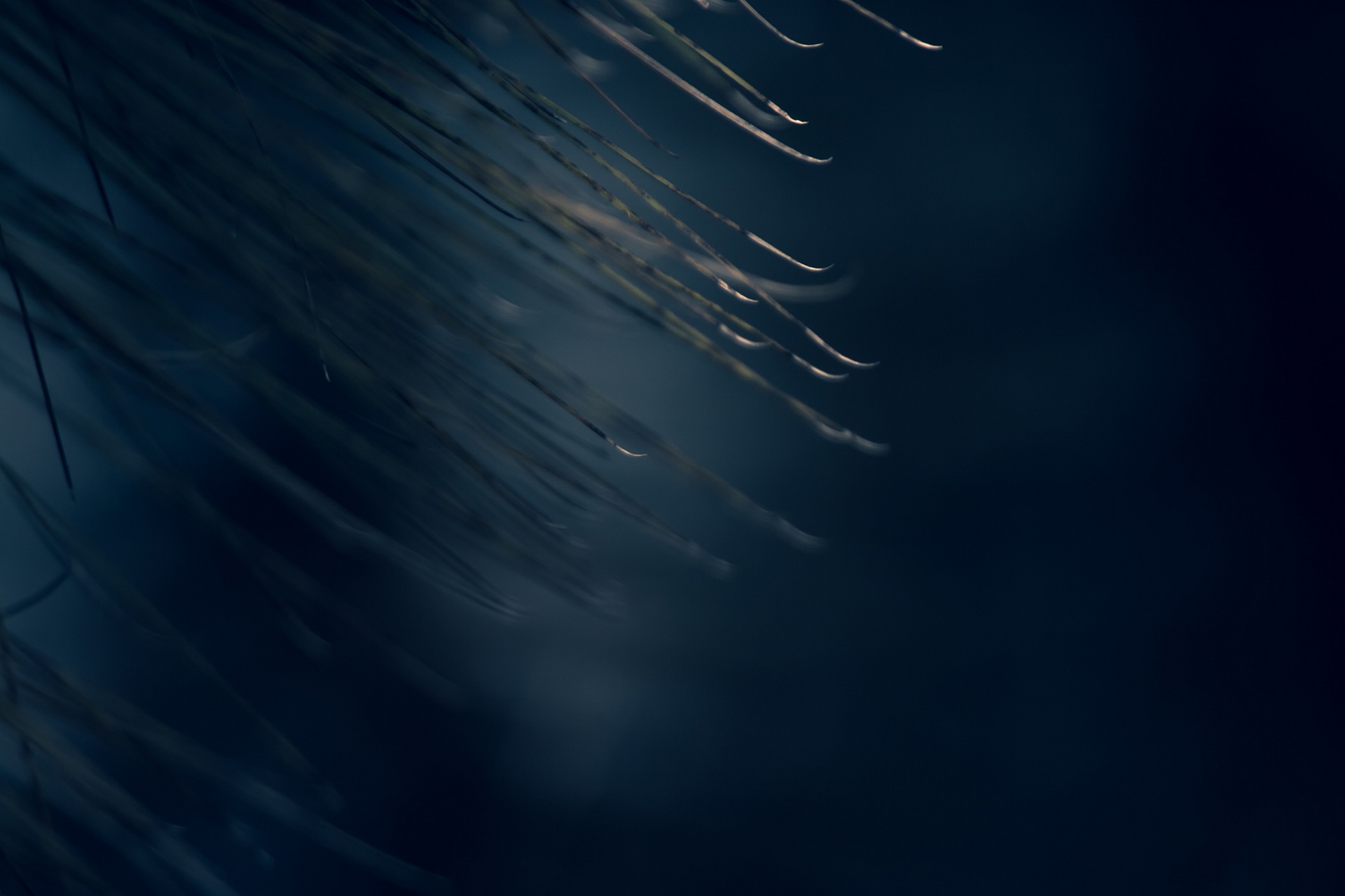 Exhibition - Penumbra