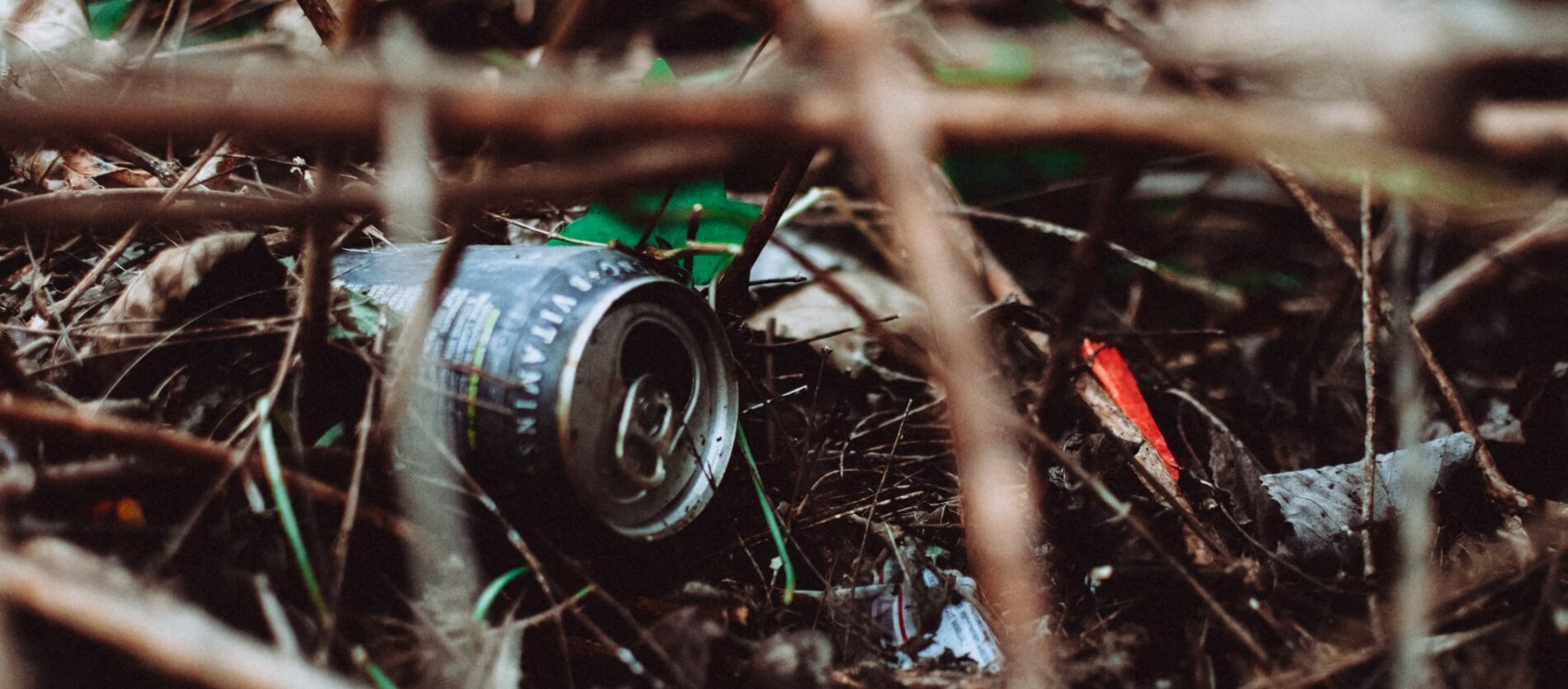 Waste dumped in the bush/park