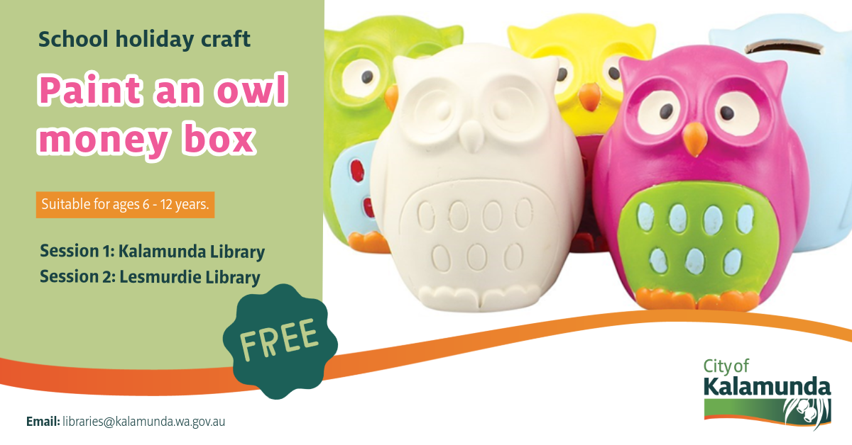Paint an Owl Moneybox