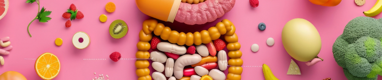 Photo of fake internal stomach organs with fruit and vege