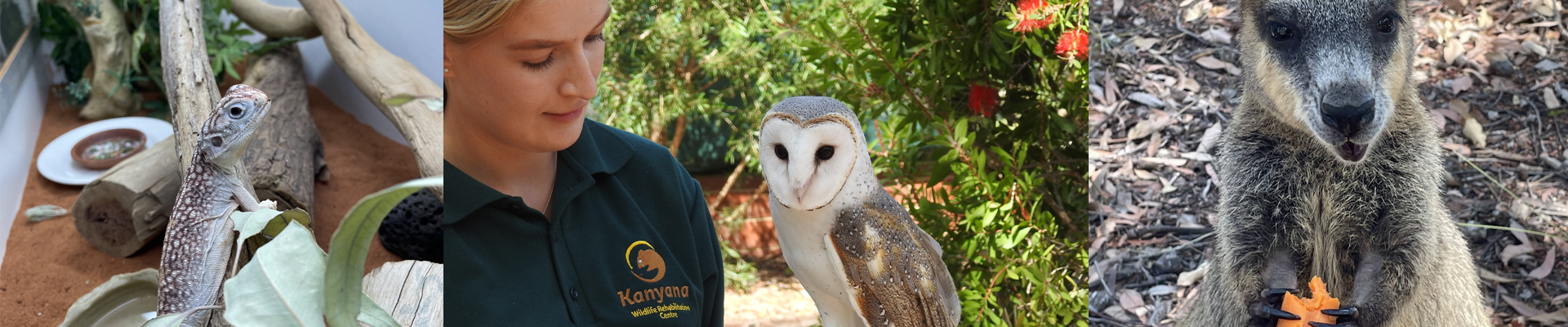 Wildlife Wonders @ Kalamunda Library