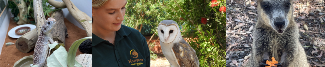 Libraries | City of Kalamunda