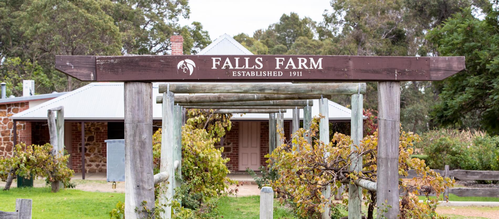 View from the outside by the vines of the house