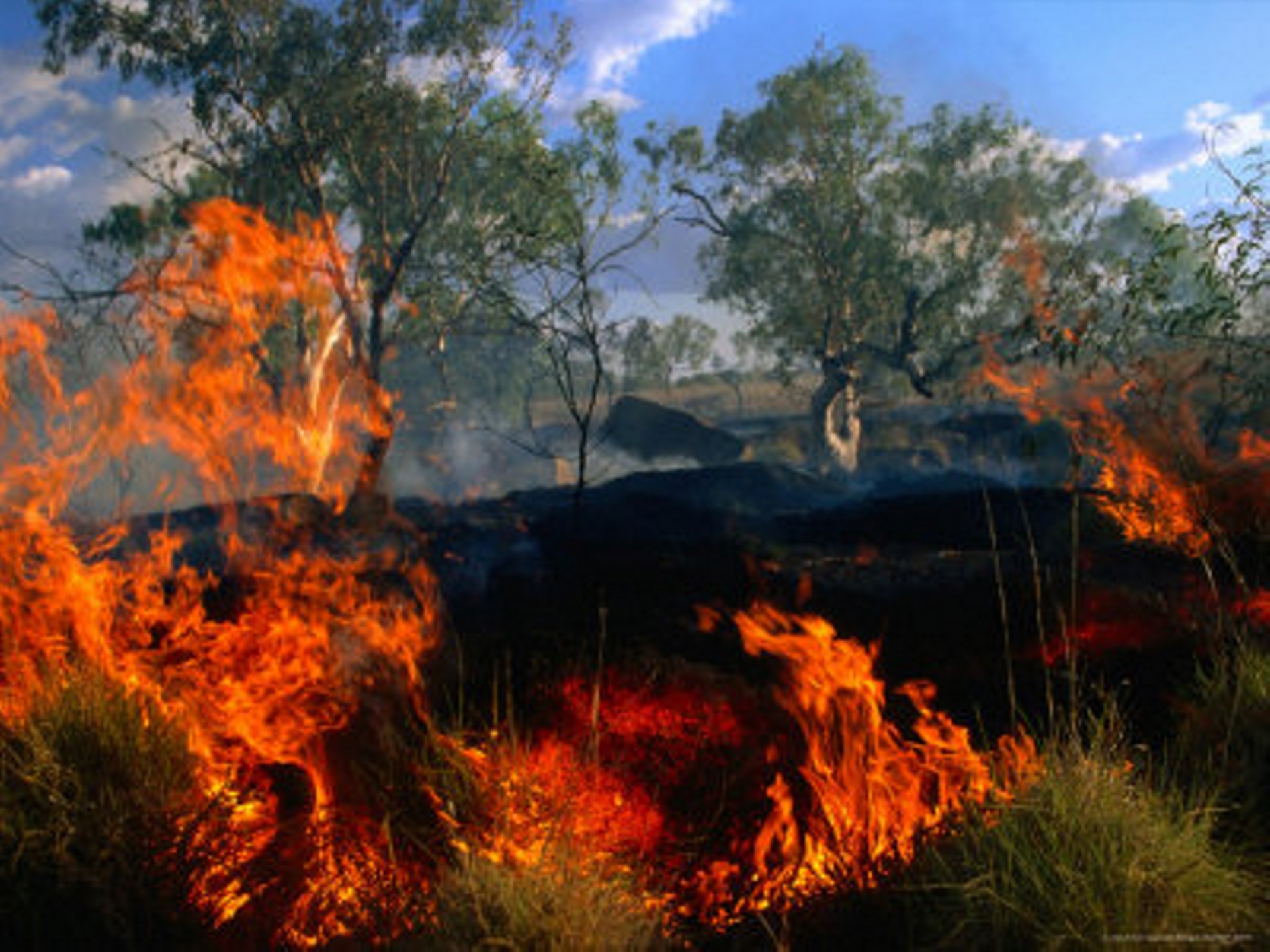 Total Fire Ban Declared - Monday 23 December 2024