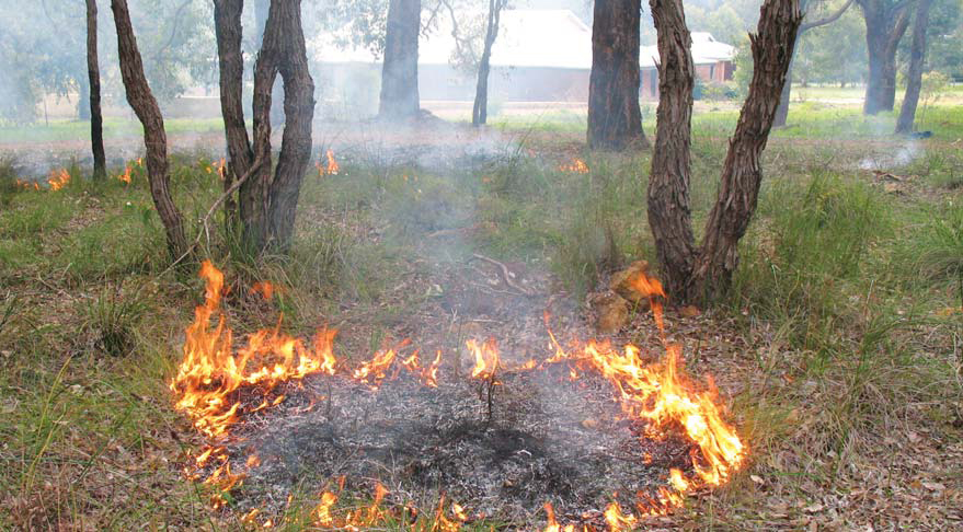 Patches of controlled fire burning in bushland near buildings