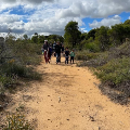 Cultural Walk at Lesmurdie Falls