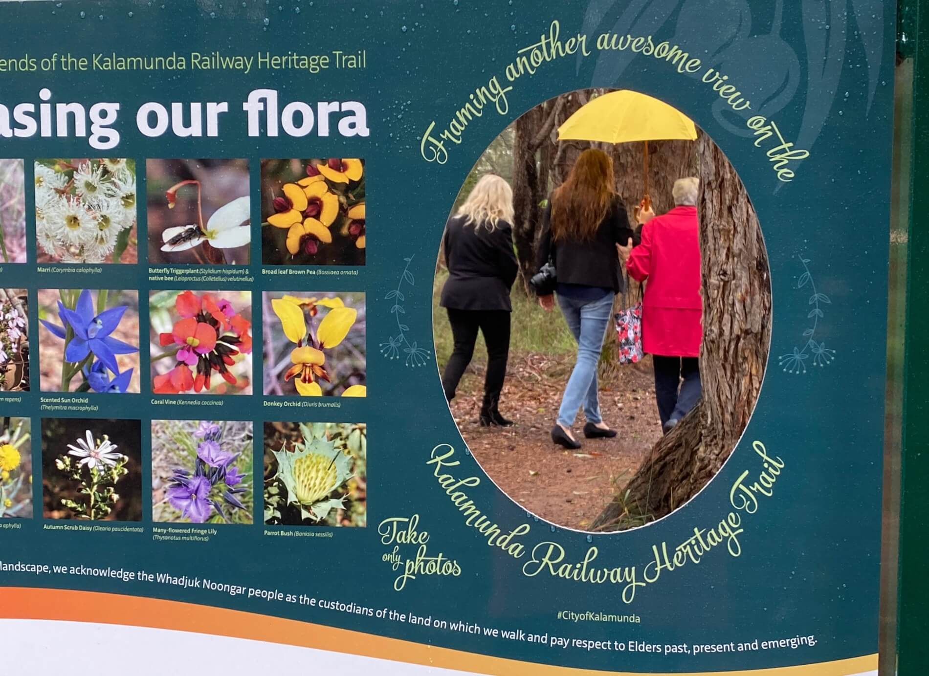 Flora board on Kalamunda Railway Heritage Trail