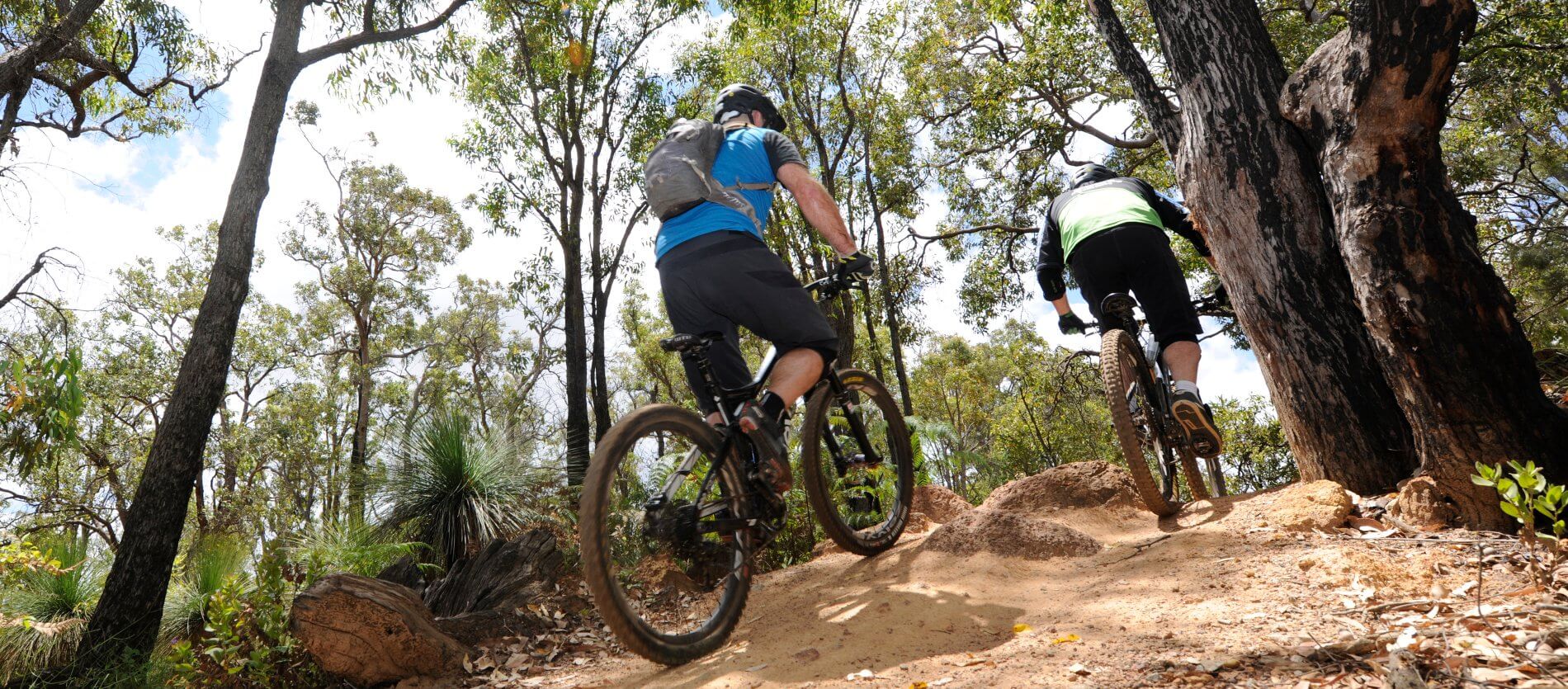 Adult Mountain Trail Bikers riding a local Perth Hills Trail