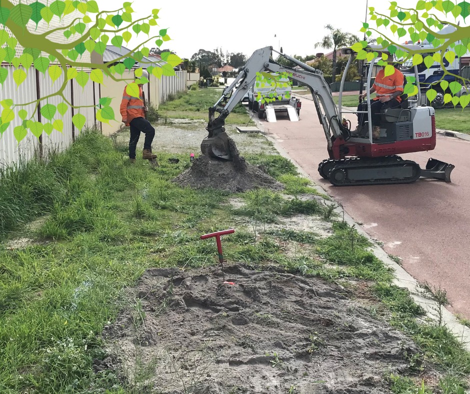 2024 Annual Street Tree Planting Program Kicks Off