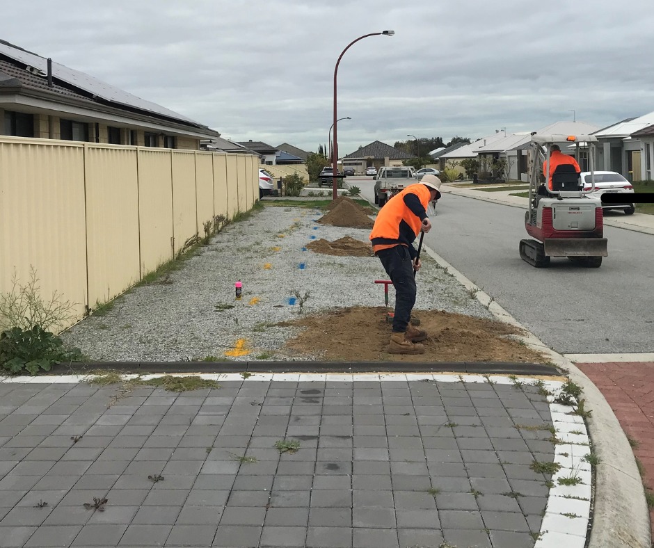 2024 Annual Street Tree Planting Program Is Underway