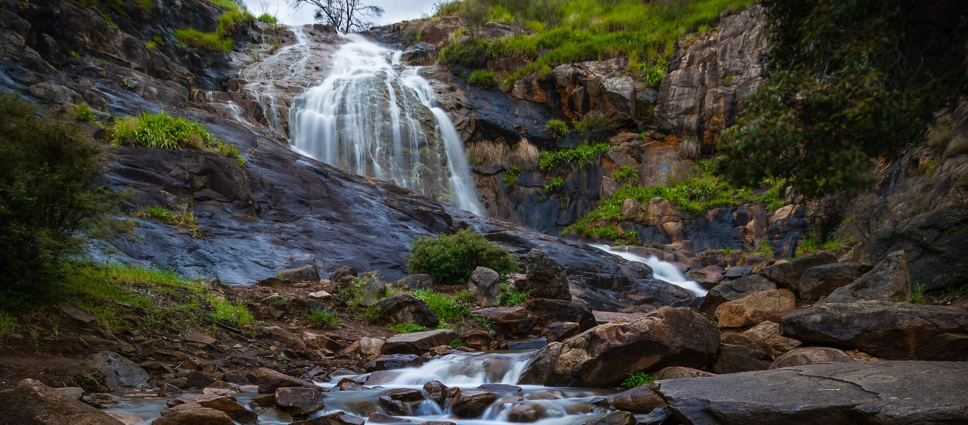 View from the bottom of Lesmurdie Falls