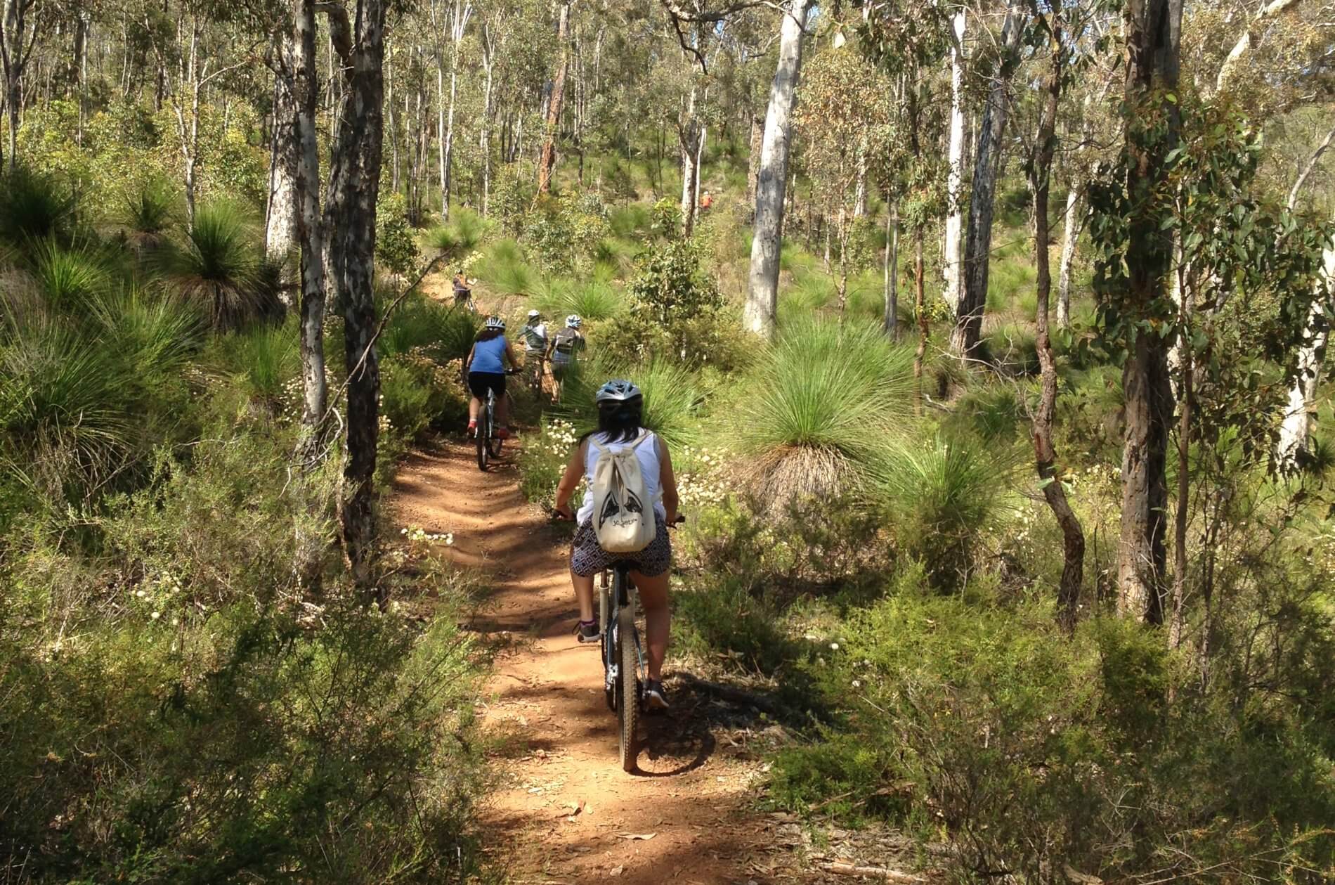 Group of riders along a local Mountain Bike Trail