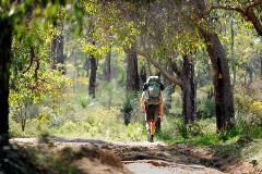 An image of walking bush trail with a hiker carrying a backpack.