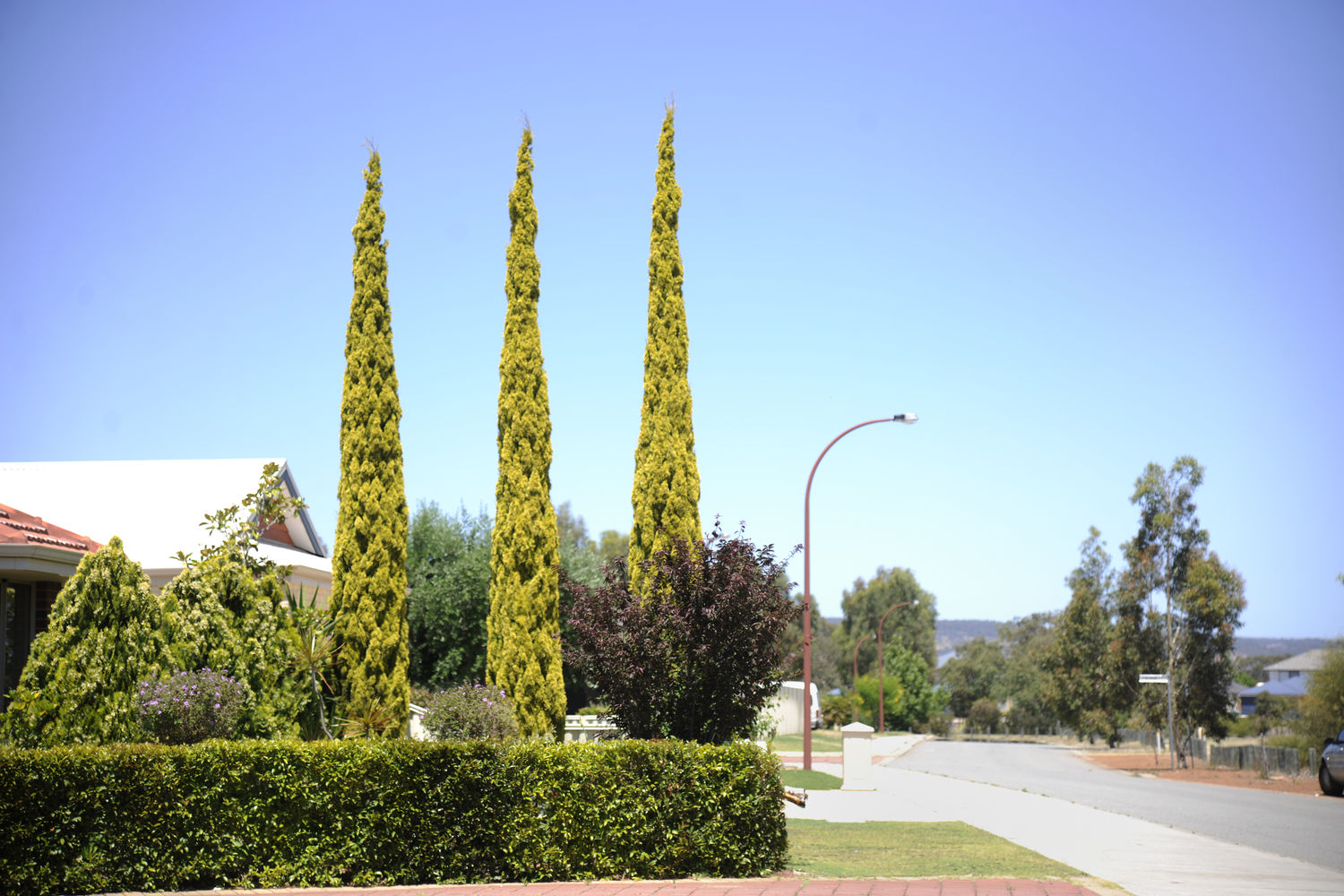 View of a residential street in Wattle Grove showing the verge, street light and road.