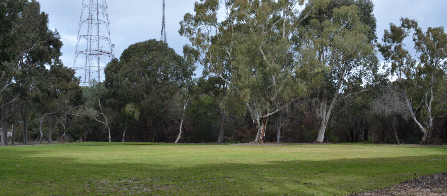 View of the open space to the left of the playground at Alan Anderson Park