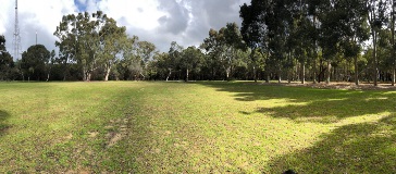 View of the open space area of Alan Anderson park