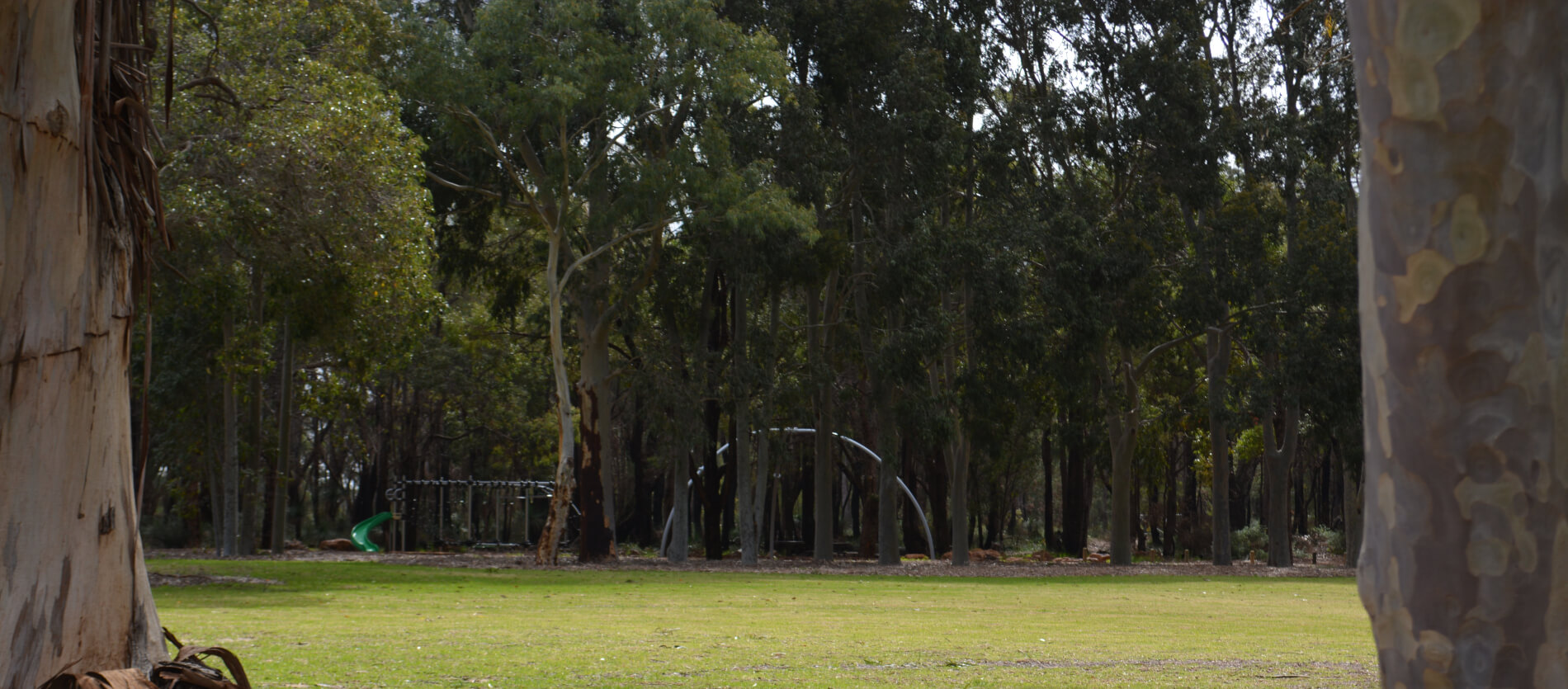 View of the playground from reserve section of Alan Anderson Park