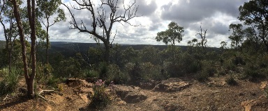 Jorgensen Park views from one of the trails