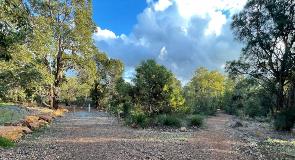 Footpaths at Ray Owen behind the BMX track