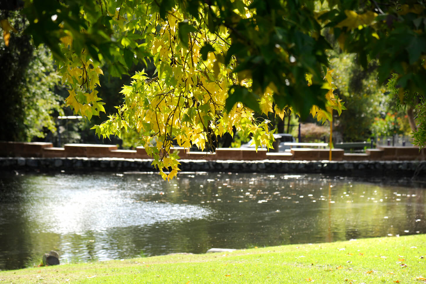 View of the lake at Stirk Park located in Kalamunda