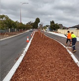 Revegetation of Hale Road, Forrestfield