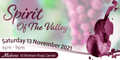 Spirit of the Valley promotional image
