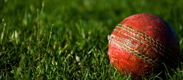 Red cricket ball on green grass