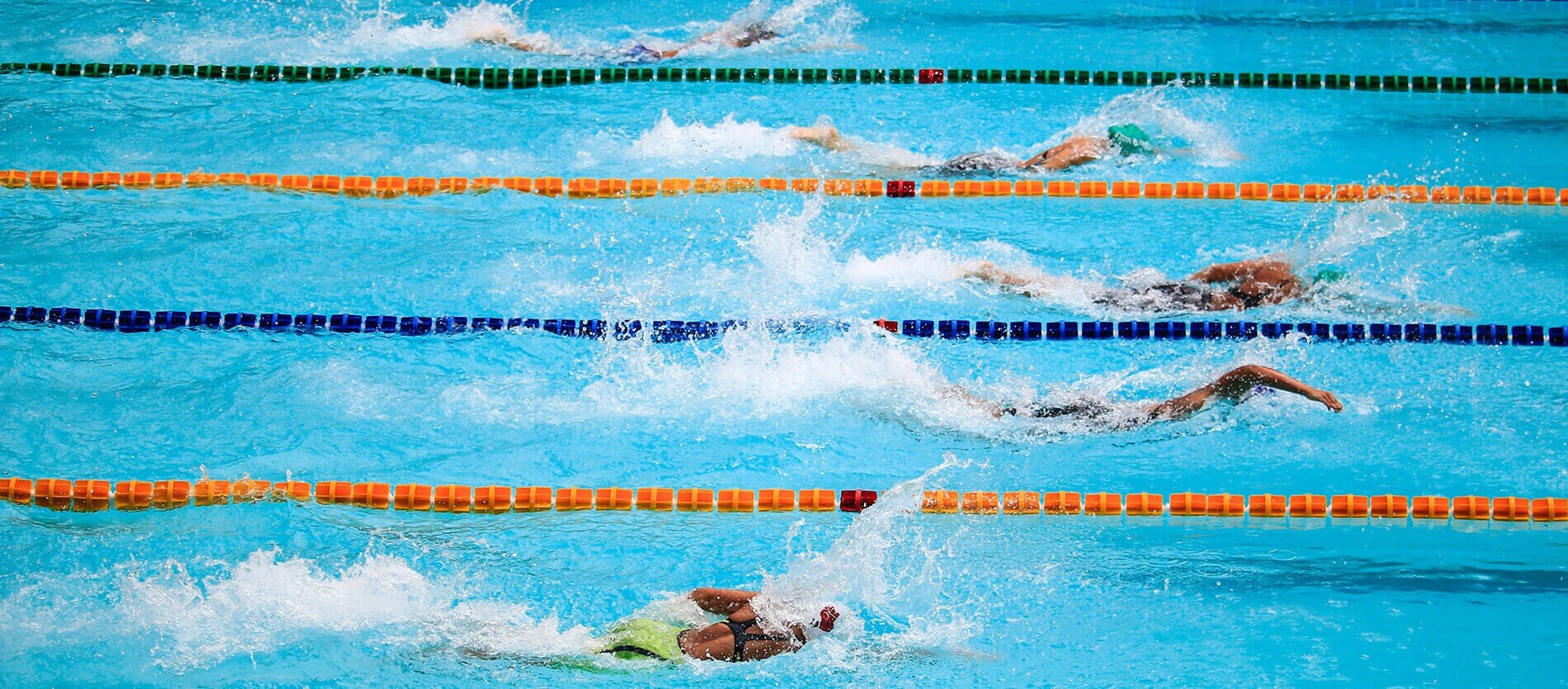 Five people competing in a swimming race