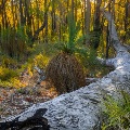 Kalamunda National Park | Photo by Nature by Nathan