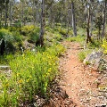 Local walk trails in the Perth Hills | Photo by Chris Kershaw