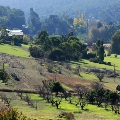 Bickley Valley / Carmel area in the Perth Hills | Photo by Chris Kershaw