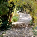 Wineries and trails located in Bickley Valley  | Photo by Chris Kershaw