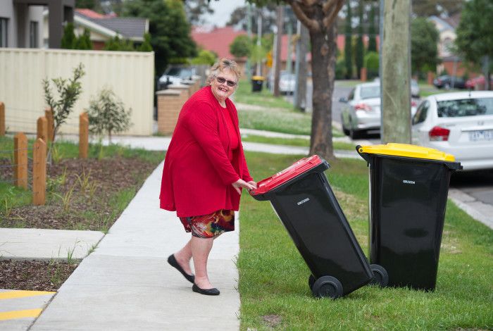 Bin Day