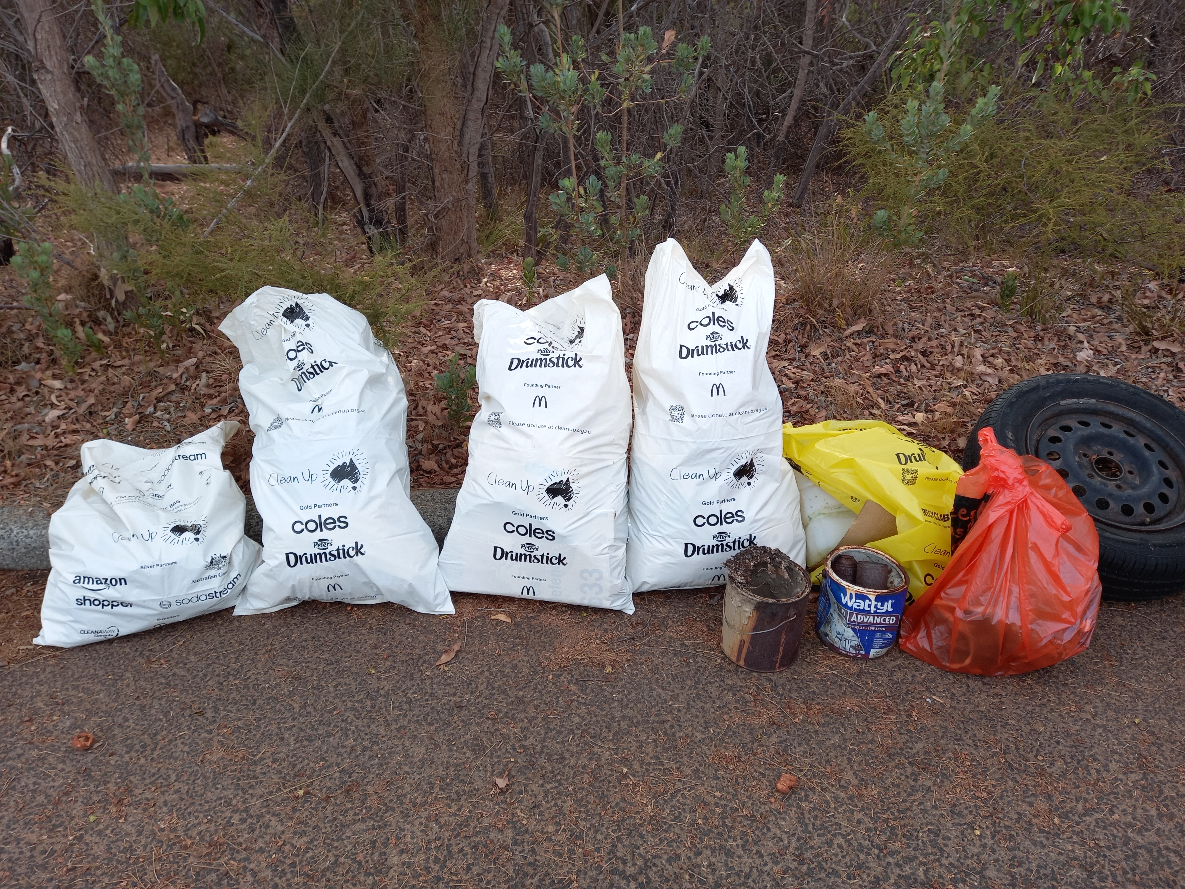 Bush Cleanup Illegal Dumping
