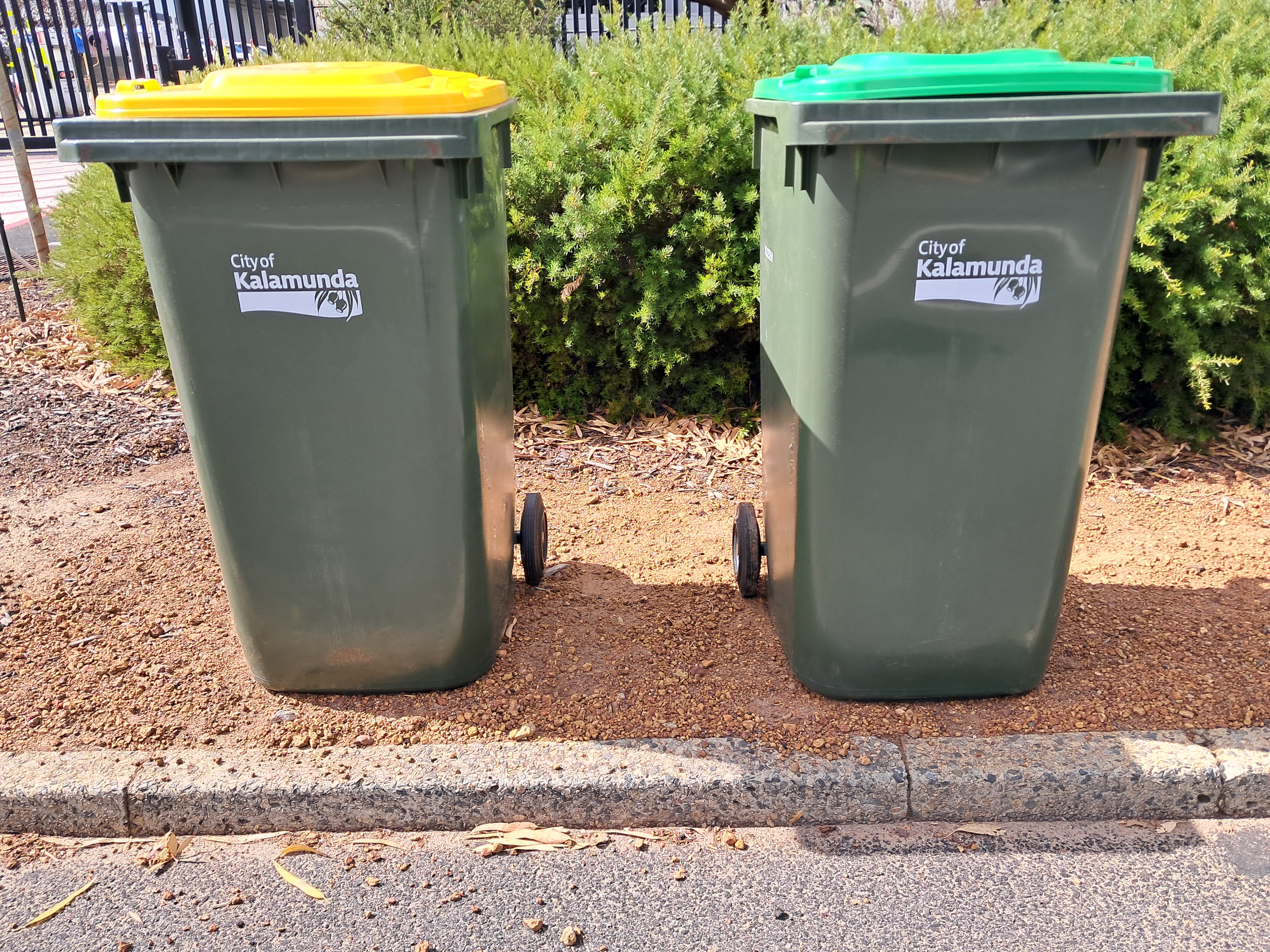 Recycling and FOGO bin