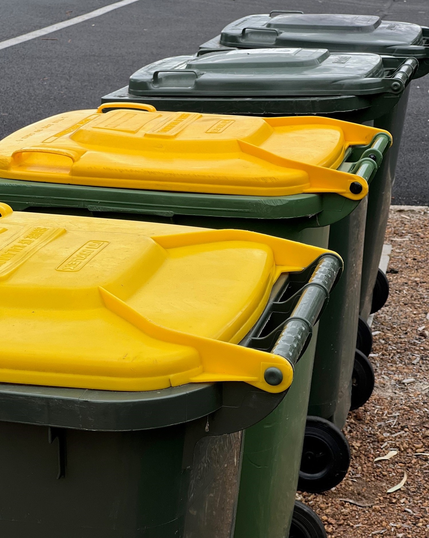 News Details City of Kalamunda